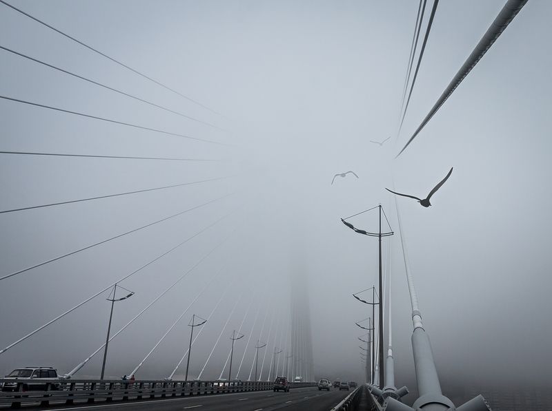 Алексей Онищенко, Russia