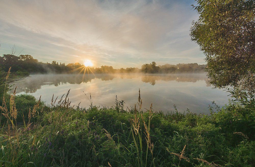 Туманное утро