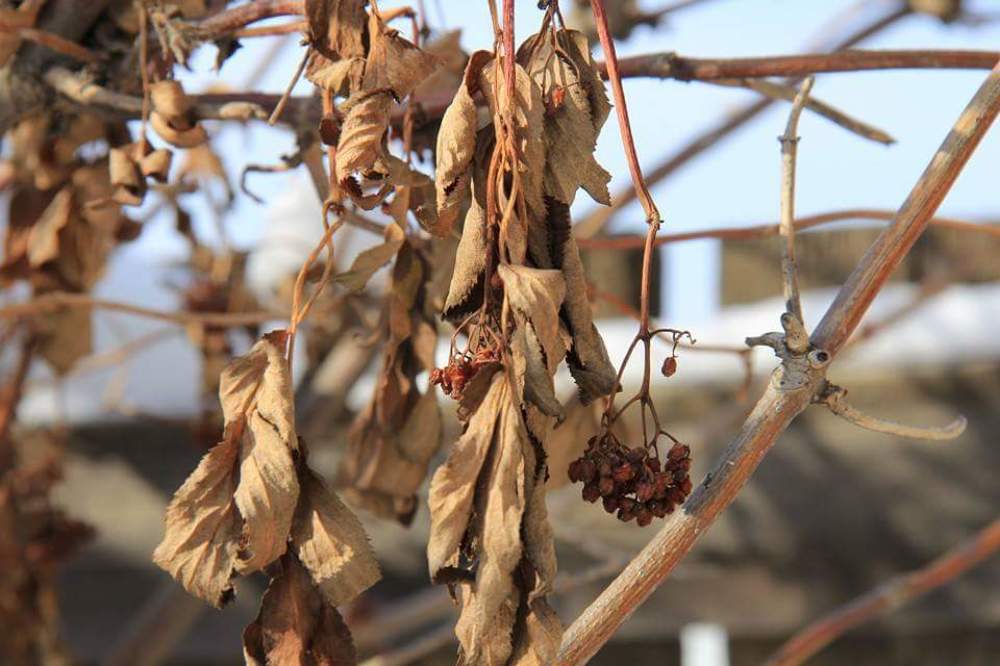 Photograph by Мария