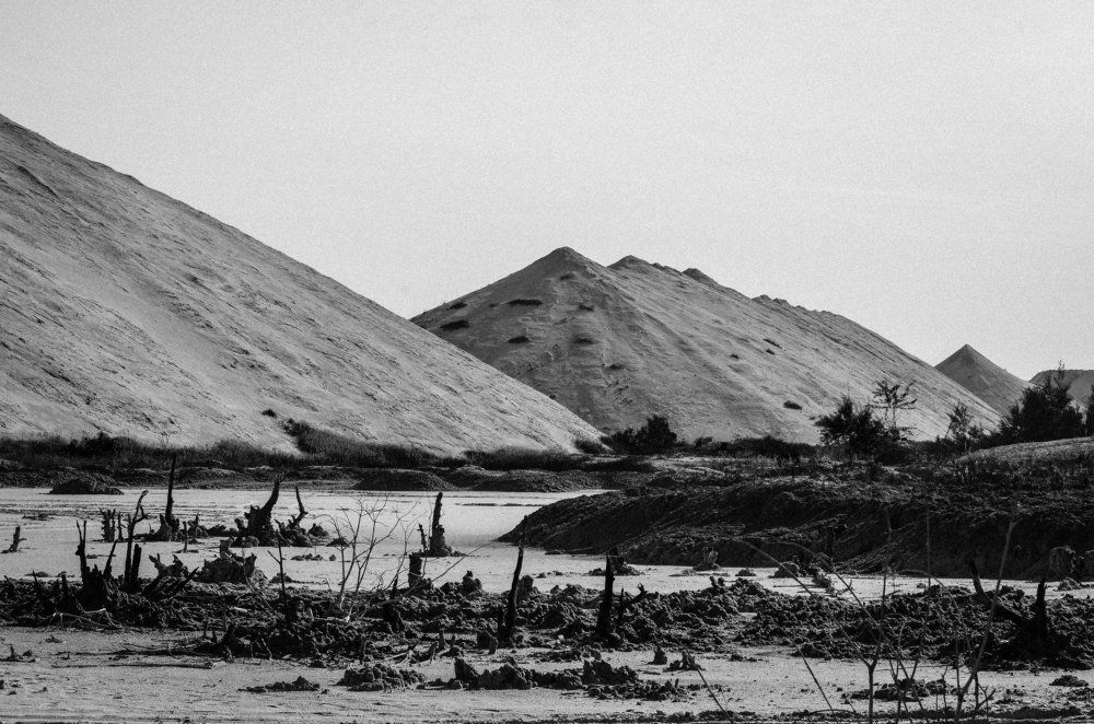 terra mortuis
