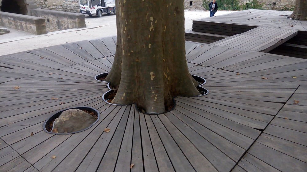 Уважение к природе