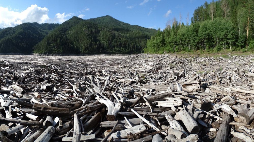 Где-то под лесом река Енисей...