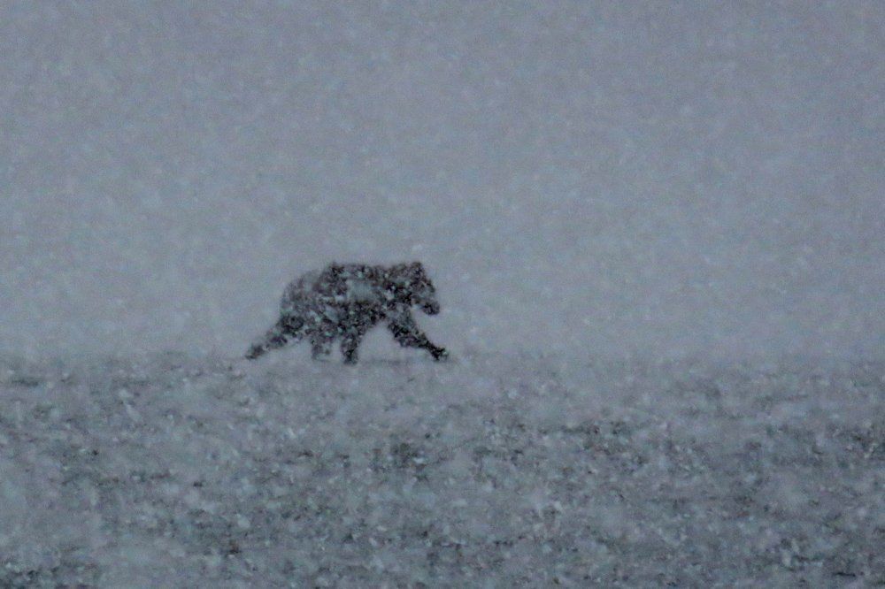 А ещё говорят о глобальном потеплении ?