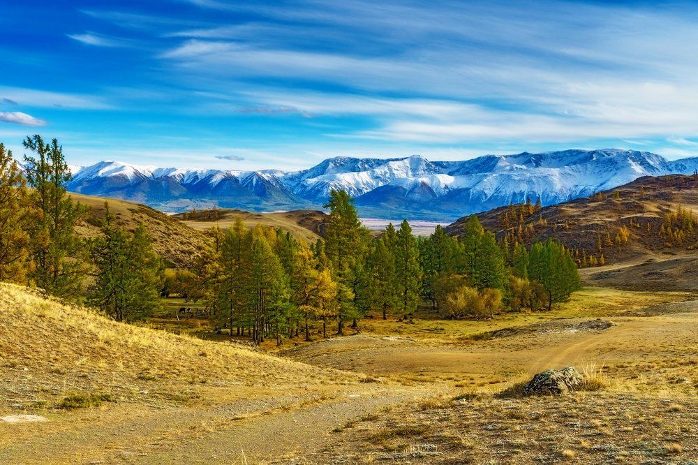 Краски Горного Алтая