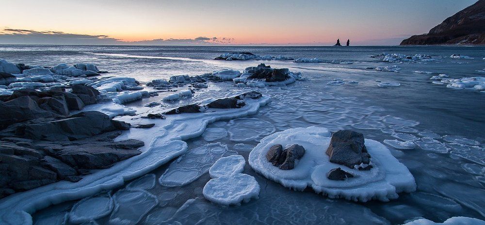 Один день из жизни теплых морей...