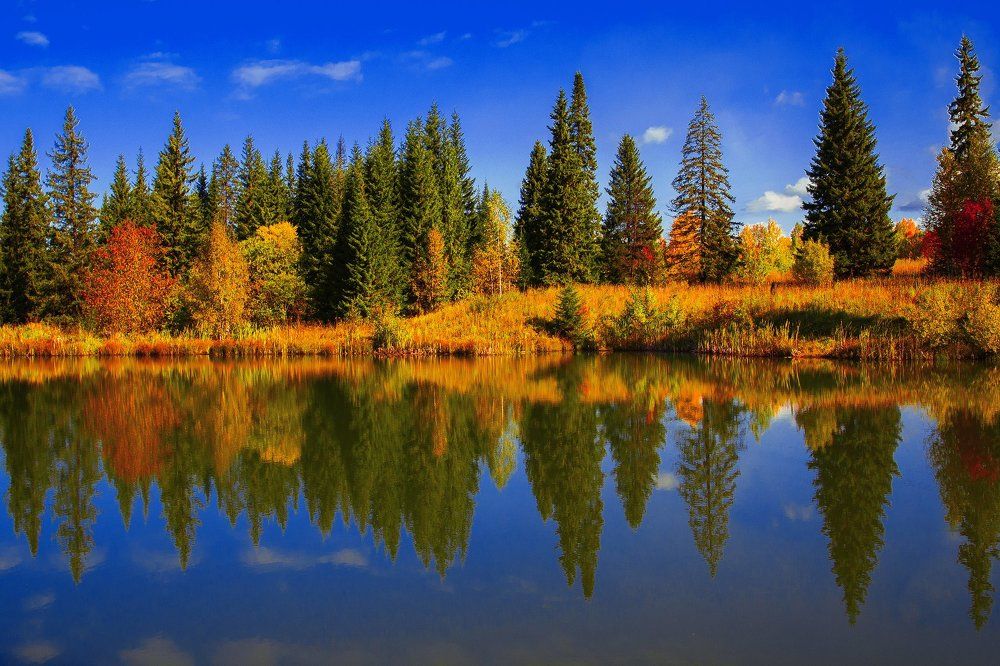 Photograph by Евгения