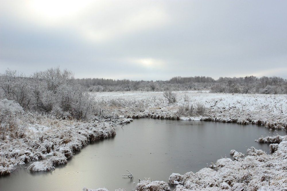 Поздняя осень.