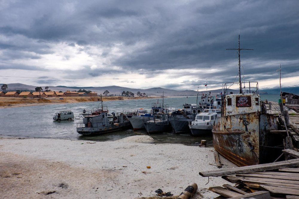 Ежик на приколе