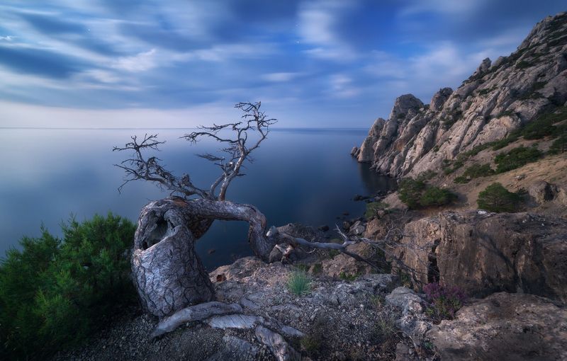 Denis Belitsky, Russia