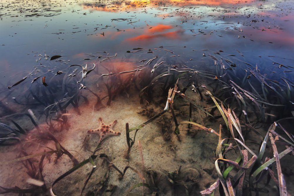 Звезда под ногами