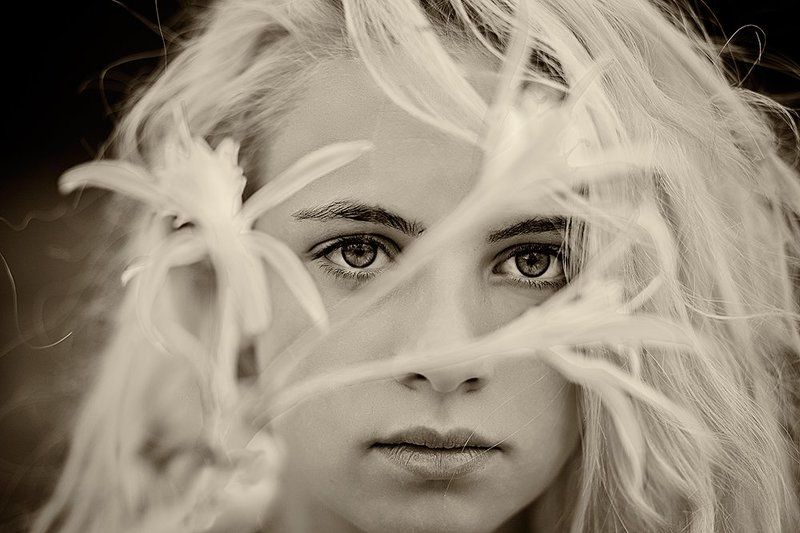 Zdravko Gospodinov, Bulgaria