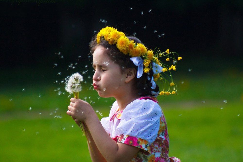 Обдуванчик