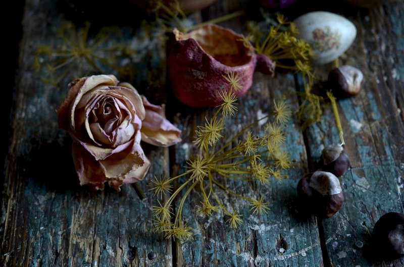 Elena Parilova, Russia