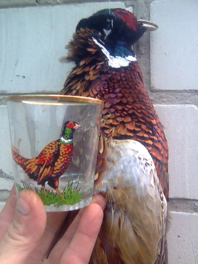 Отметим трофей