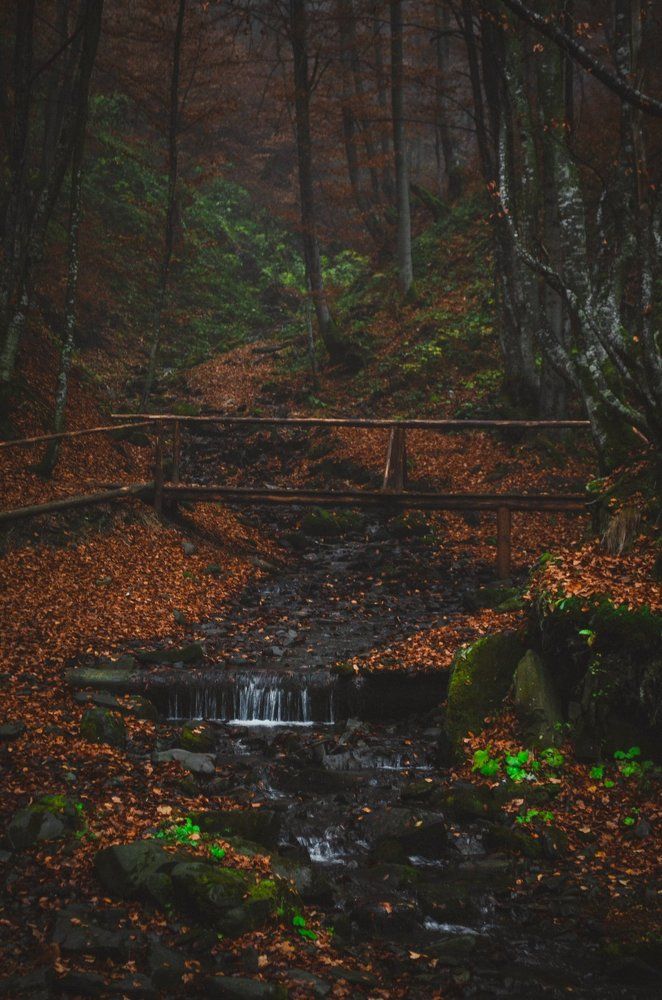 Красоты Карпатских гор