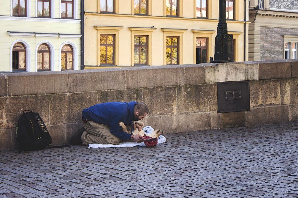 единственный, настоящий друг