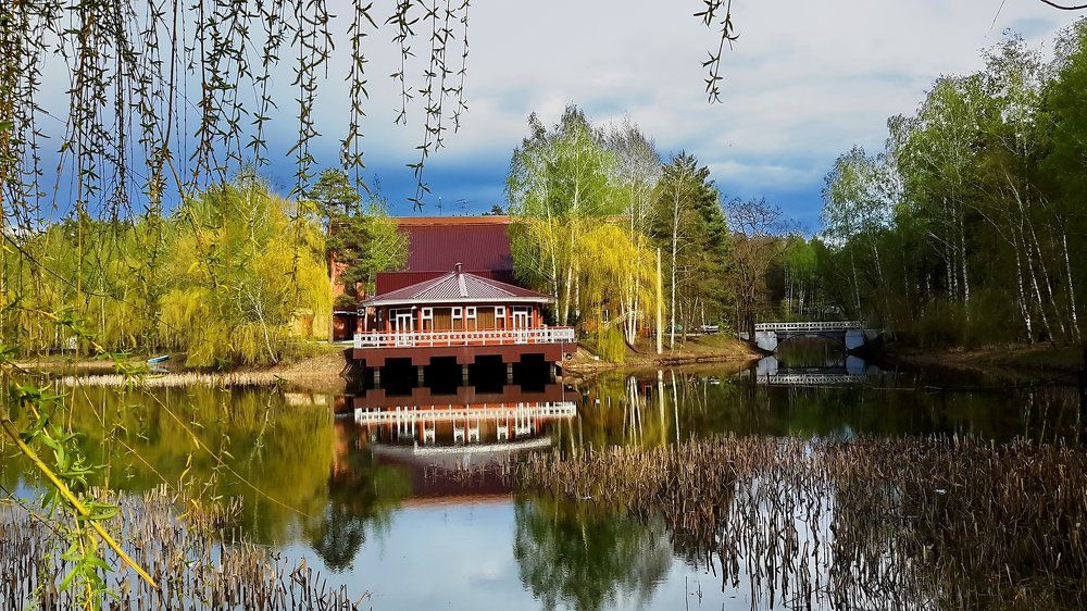 На лесном озере.