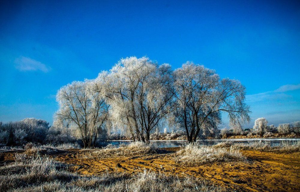 Photograph by Илья Герасимов