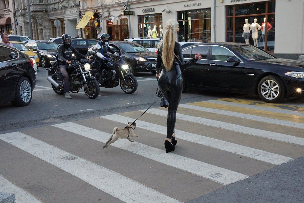 Фотография автора Коробейников Дмитрий