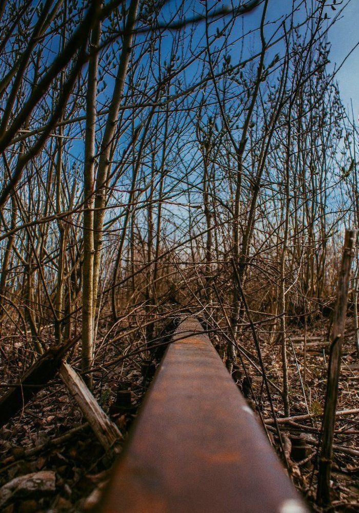 Photograph by Илья Герасимов