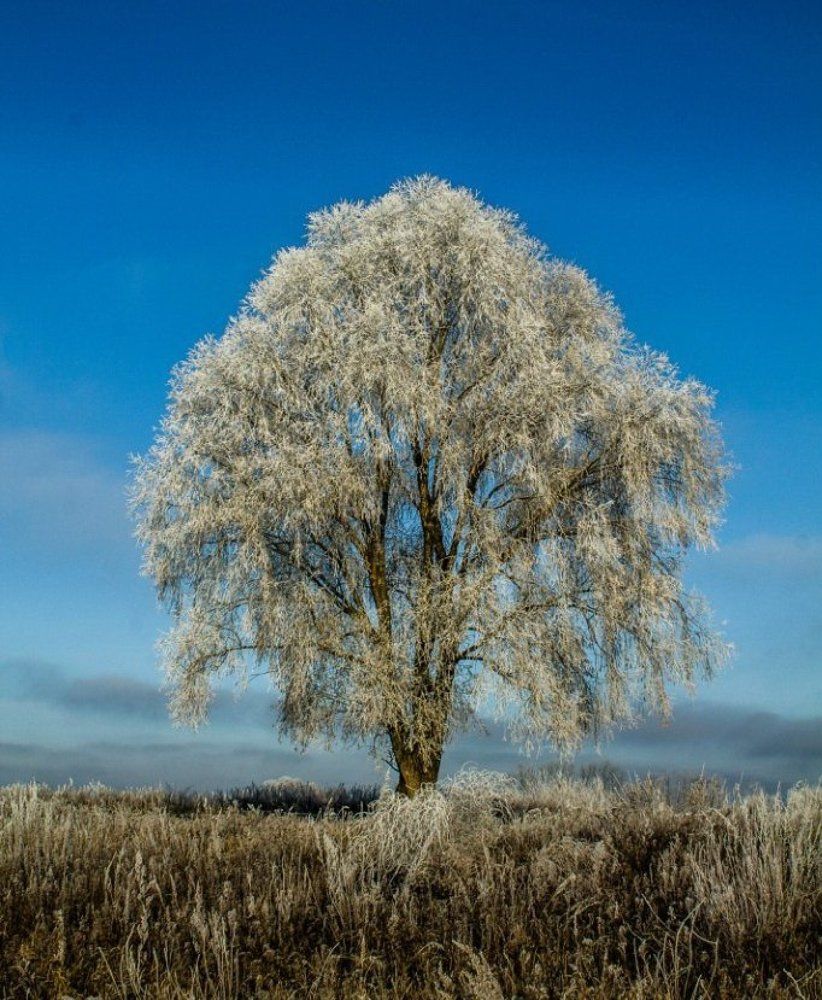 Photograph by Илья Герасимов