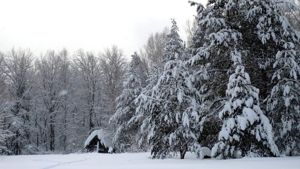 Зимняя сказка