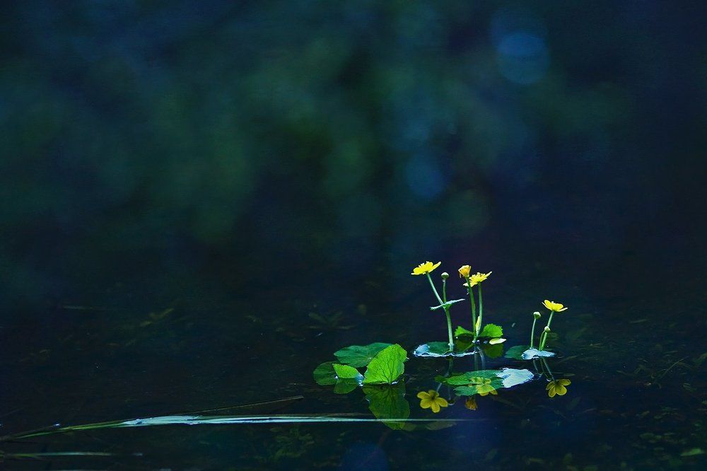 Волшебство