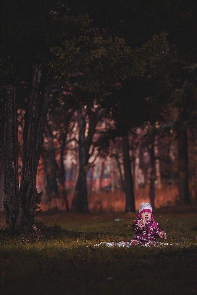 Сказочный лес