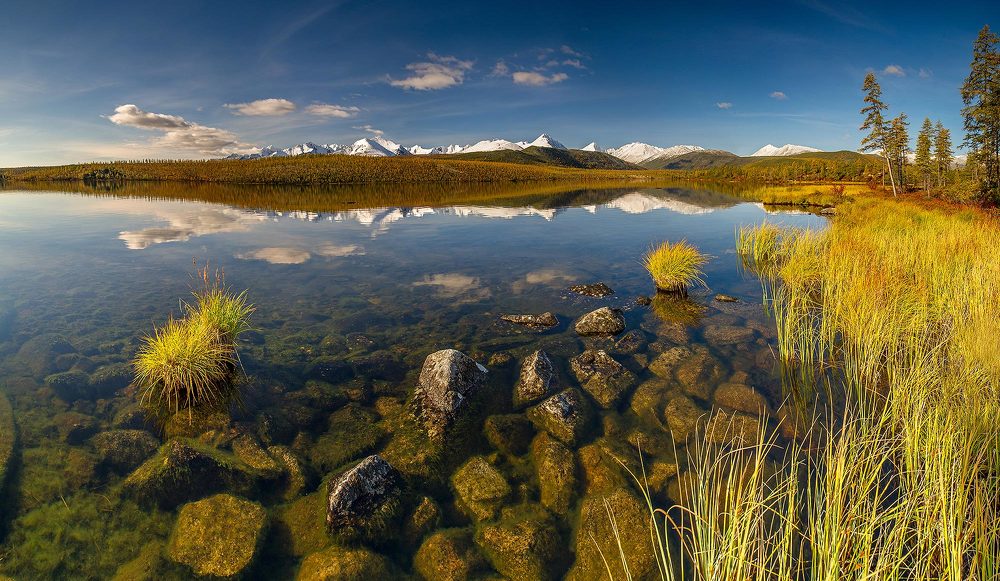 Чистые воды Озера Джека Лондона