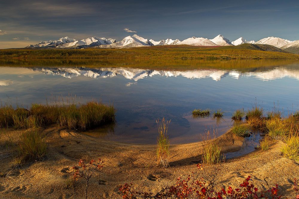 Утро в диком краю