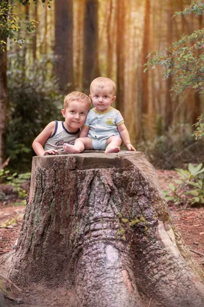 Братишки в лесу