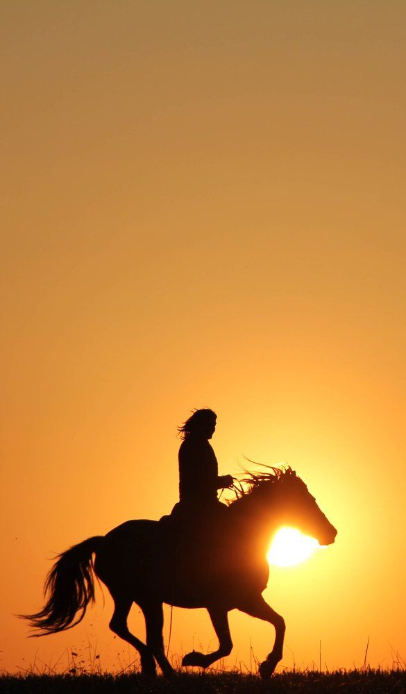 В закатных лучах