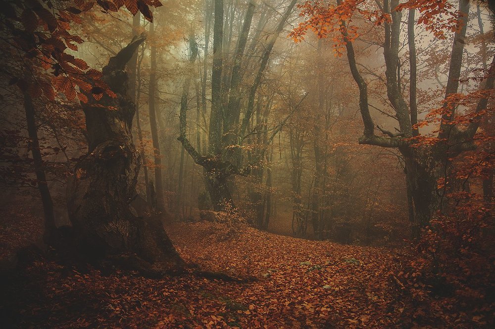 Крымская осень в горах.