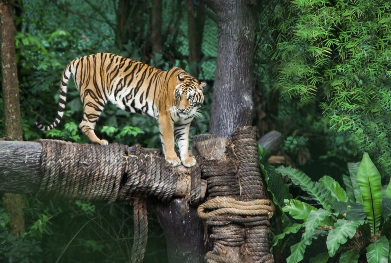 Марина, Russia