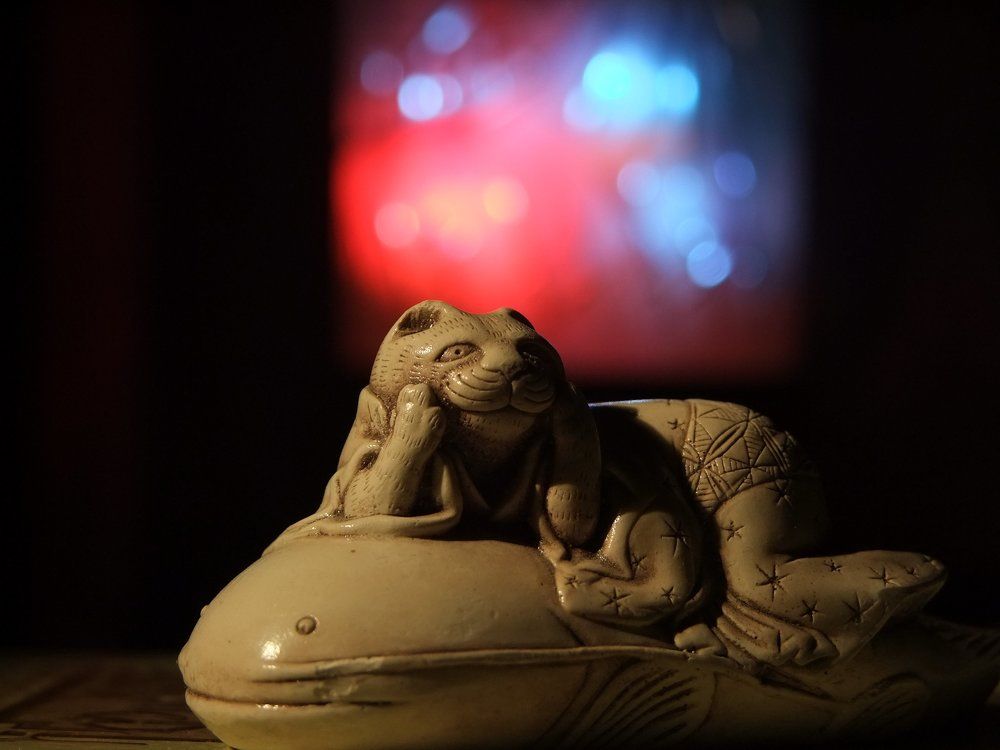 Кот