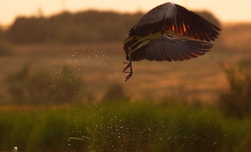 Солнце украла