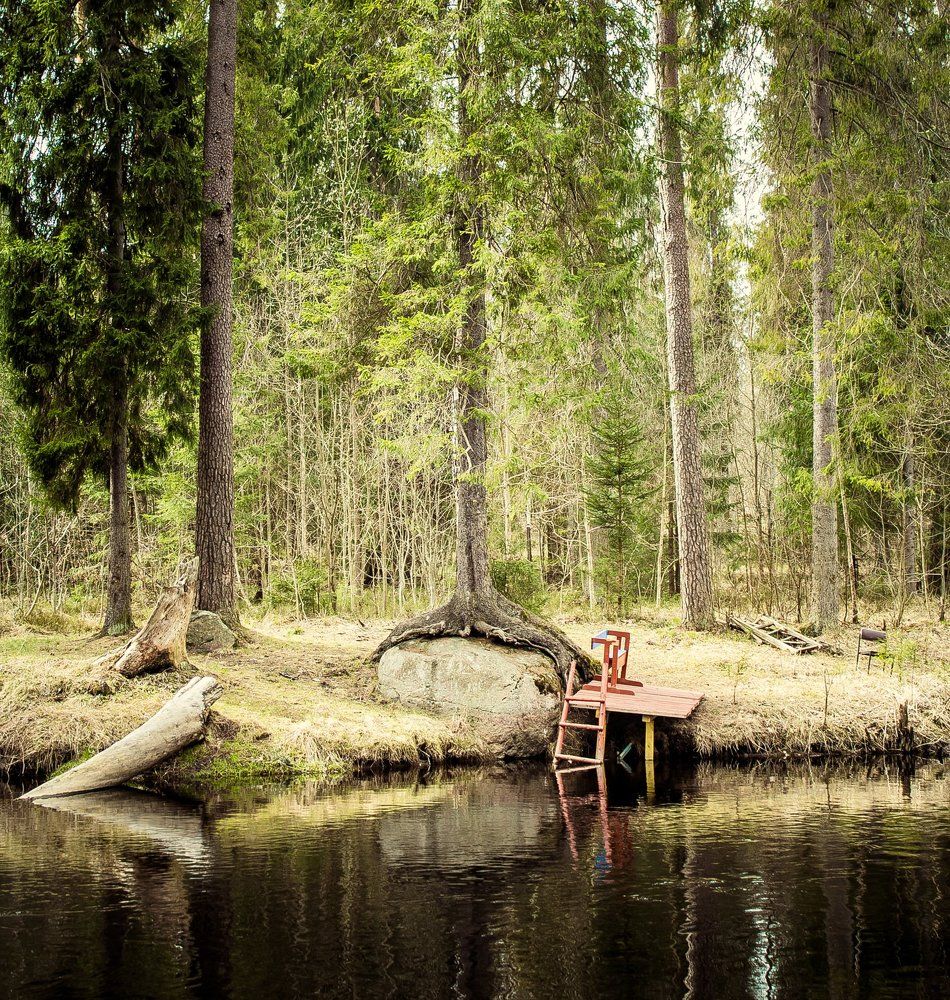 Борьба за жизнь