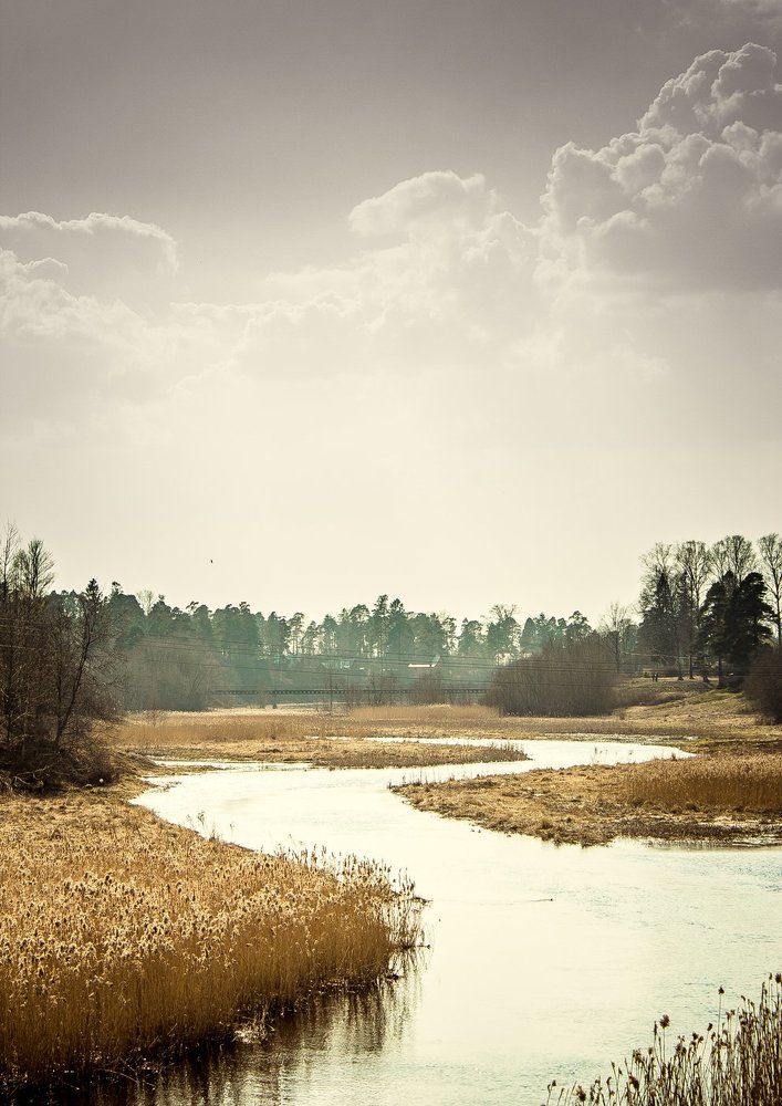 Река Оредеж