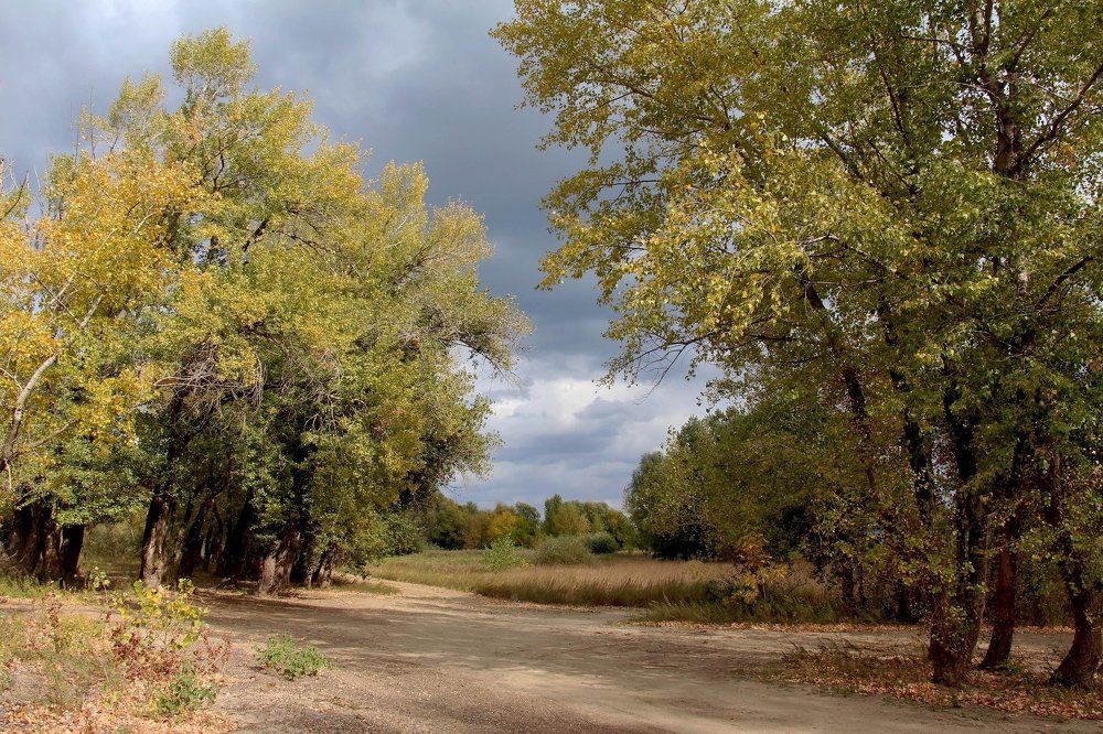 Октябрьский пейзаж