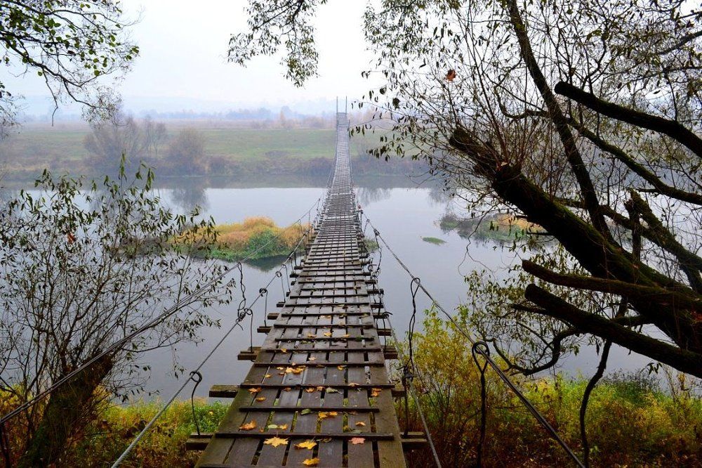 Подвесной мост в Брянском районе