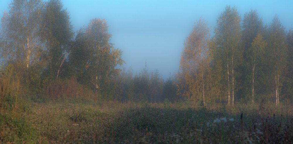 Утро туманное