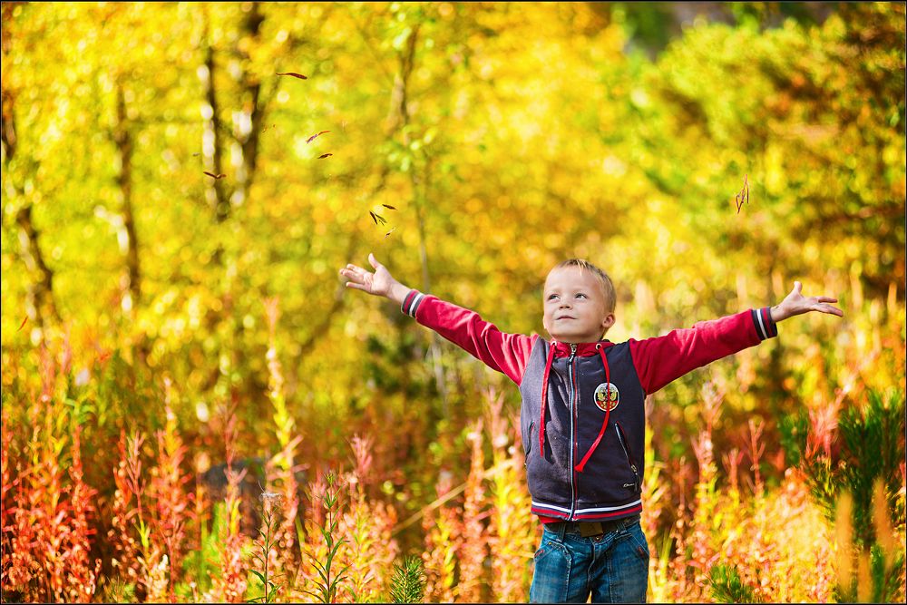 В осеннем лесу