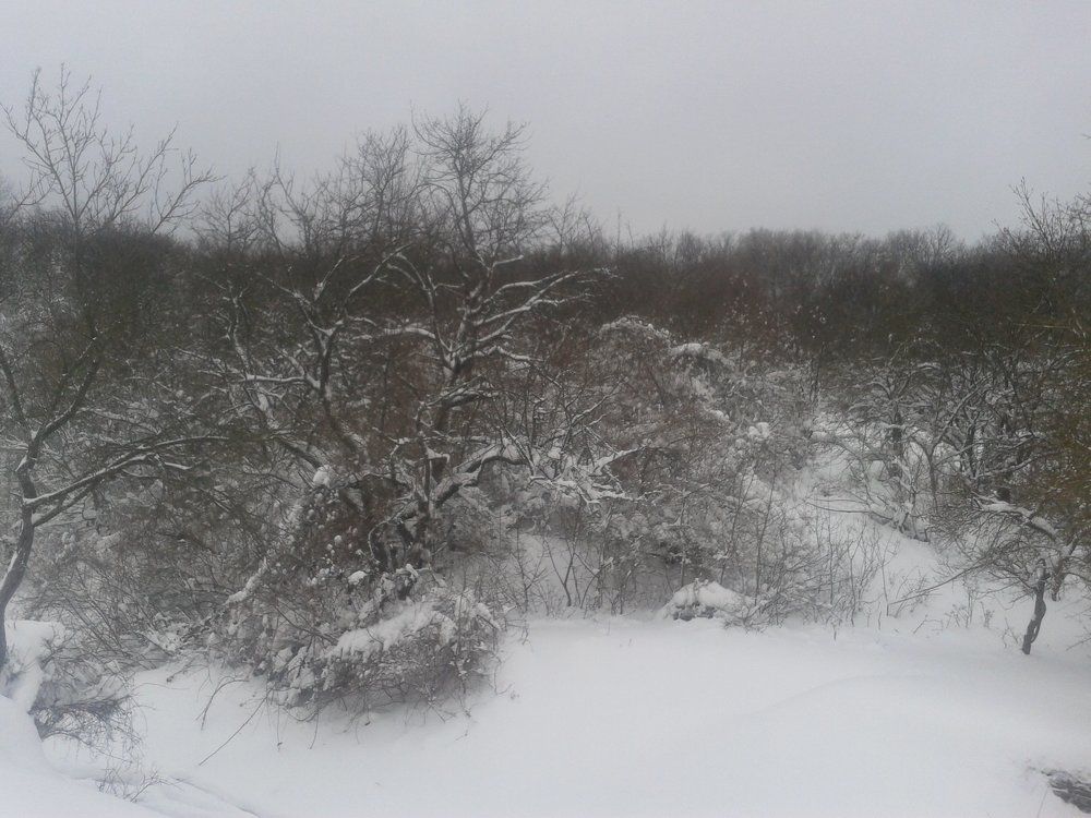 Photo #1174099