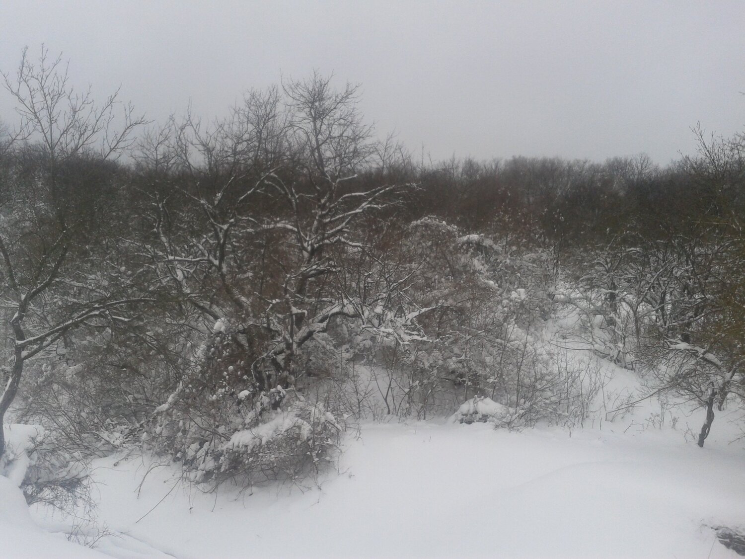 Photo #1174099