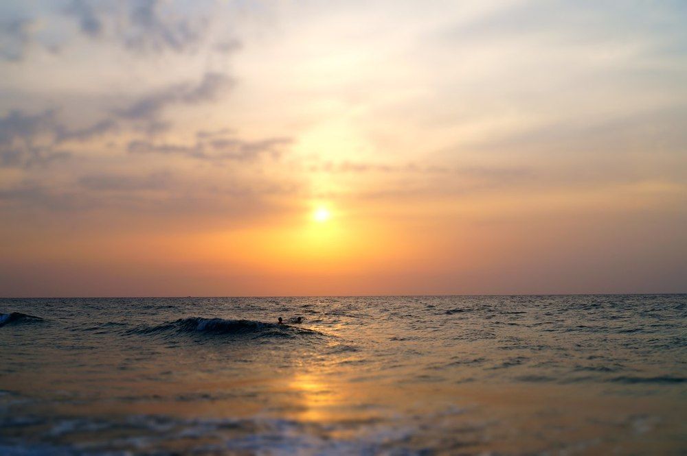 Photograph by Дарья