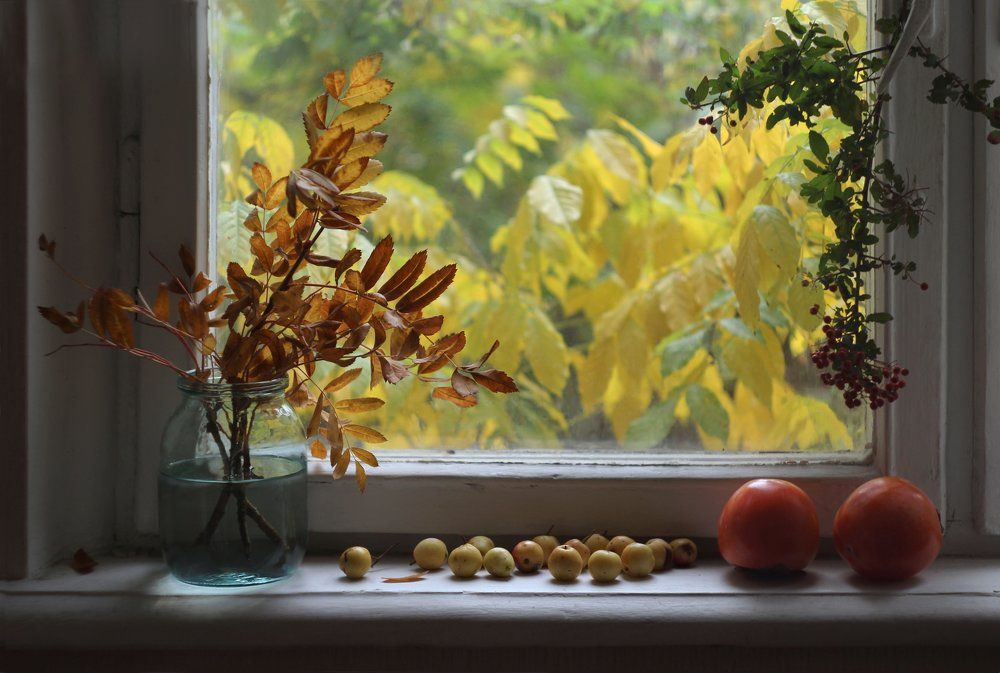 Когда осень стучит в окно...