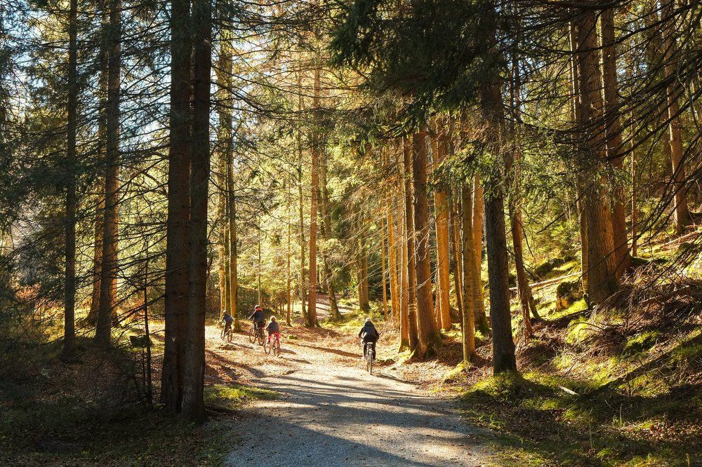 Поход в альпы