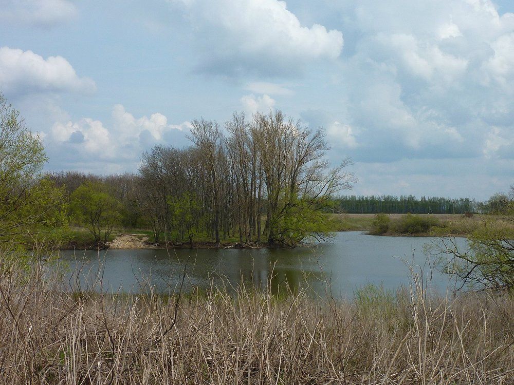 Весна уже близко