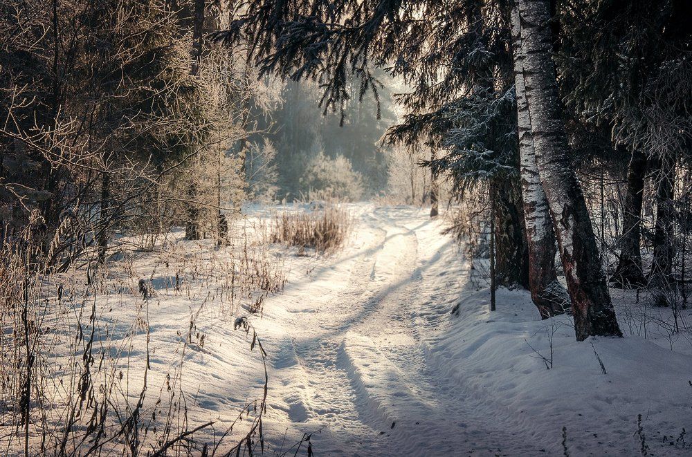 Зимний путь