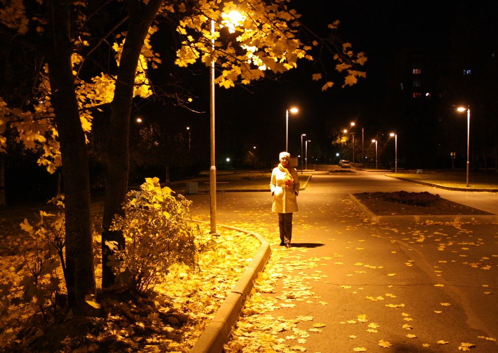 Осень, улица, фонарь